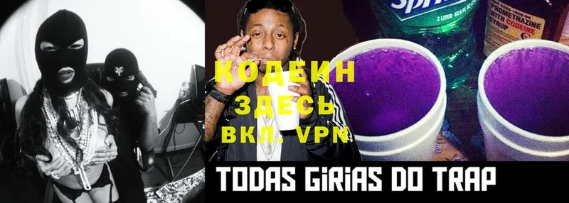 blacksprut ссылка  Вязники  Кодеин Purple Drank  где купить наркоту 